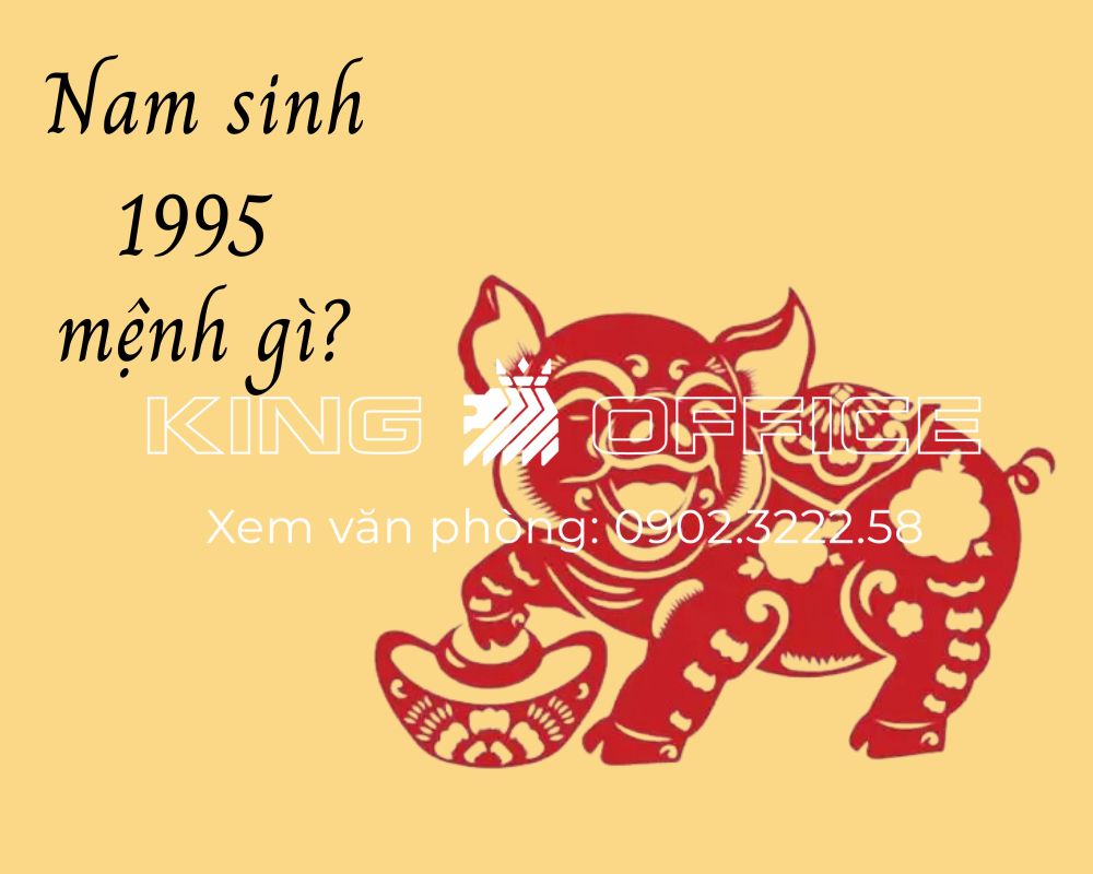 Nam giới sinh năm 1995 thuộc Tây Tứ mệnh