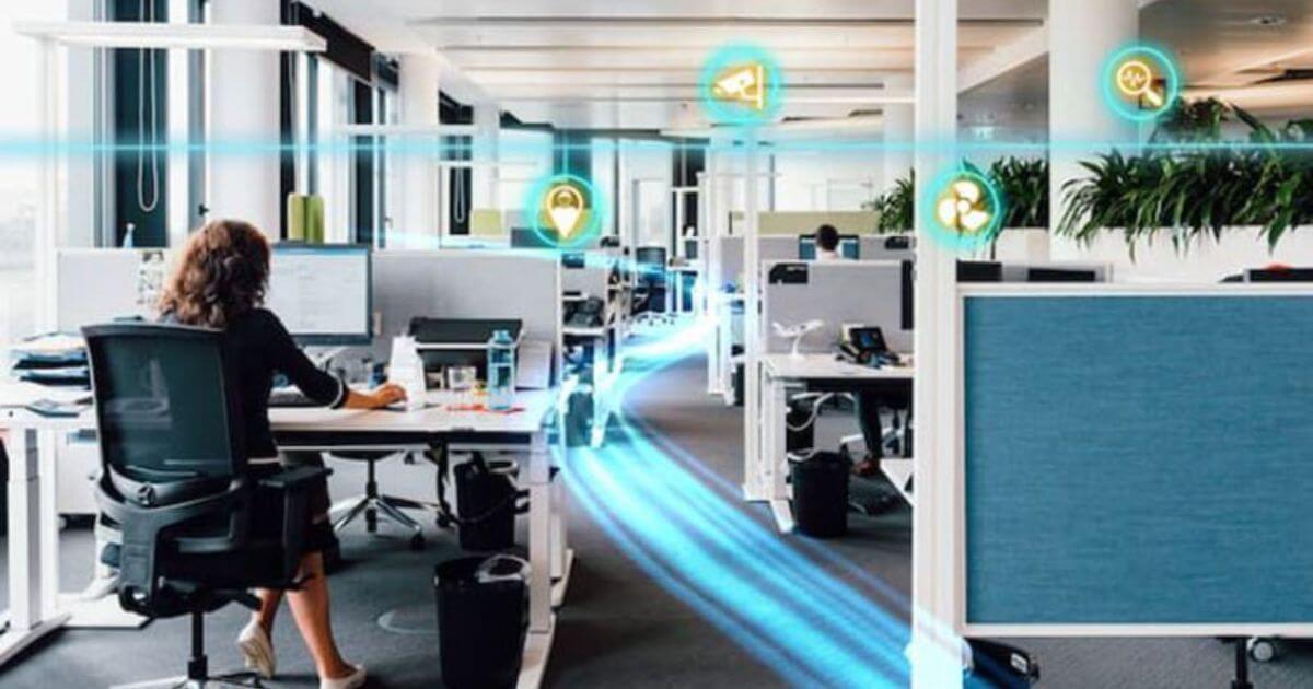 thiết kế phygital