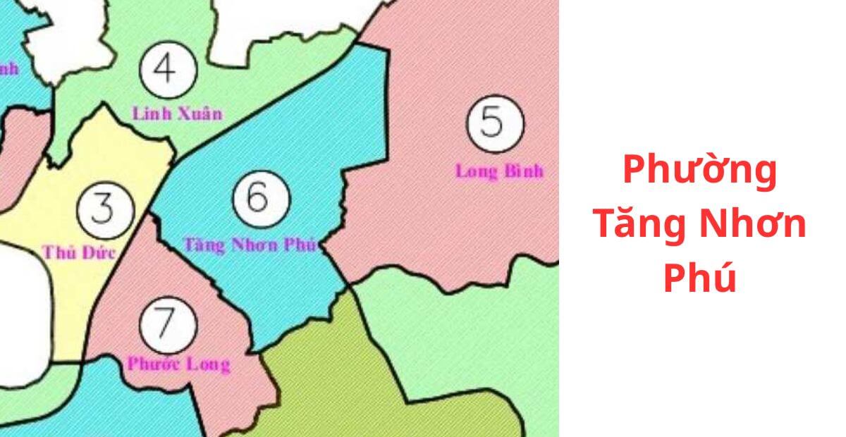 Báo giá cho thuê văn phòng phường Tăng Nhơn Phú ưu đãi 2025